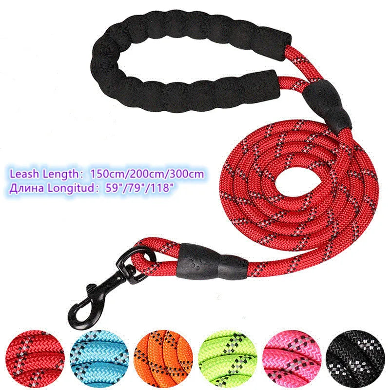 Reflective Leash Collection Dogs
