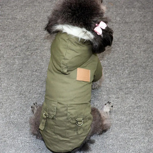 Winter Jackets for Dogs