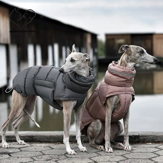 Winter-Ready Dog Down Jacket: Waterproof, Windproof, and Adjustable