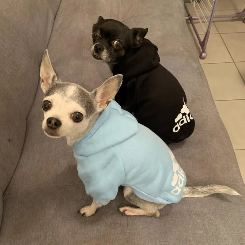 Warm Winter Hoodies: Cozy Apparel for Dogs of All Sizes!
