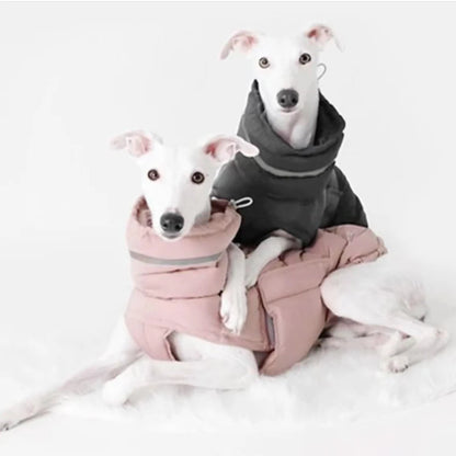 Winter-Ready Dog Down Jacket: Waterproof, Windproof, and Adjustable
