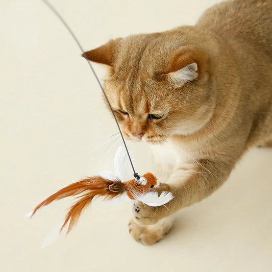 Feather Cat Toys | Cat Wand Toys | Pets Market Dubai