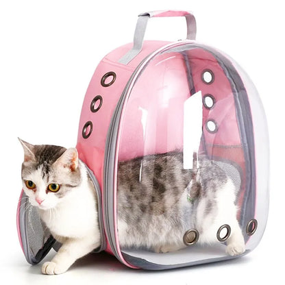 Portable Transparent Space Capsule for Cats